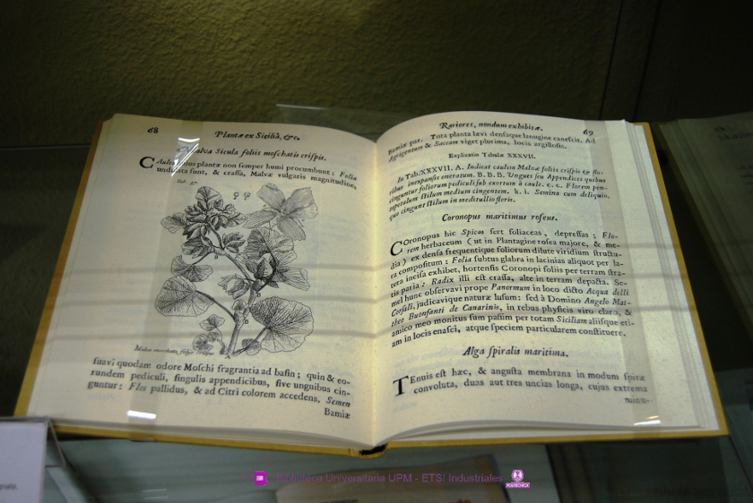 Boccone, Paolo (1633 - 1704) [Ed. facs.] Icones & descriptiones rariorum plantarum Siciliae, Melitae...