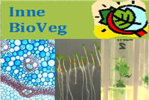Imagen del blog Grupo Innovación Educativa en Biodiversidad y Biología Vegetal