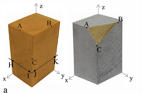 Majano-Majano A, Fernandez-Cabo JL, Hoheisel S, Klein M. (2012) A test method for characterizing clear wood using a single specimen. Experimental Mechanics, 52:1079-1096.