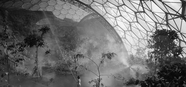 Sobrino Corral, D (2026). Between the skin and the structure: exploration in wooden meshes. From digital design to physical prototype.