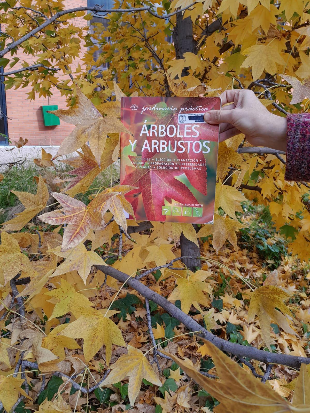 Árboles y arbustos