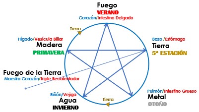 Wu Xing Ou China é Um Gráfico De Filosofia De 5 Elementos Com água