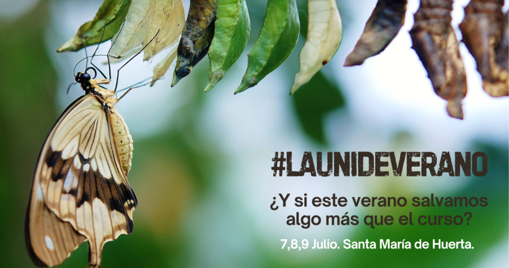 UNIdeVERANO-BANNER-1536×808