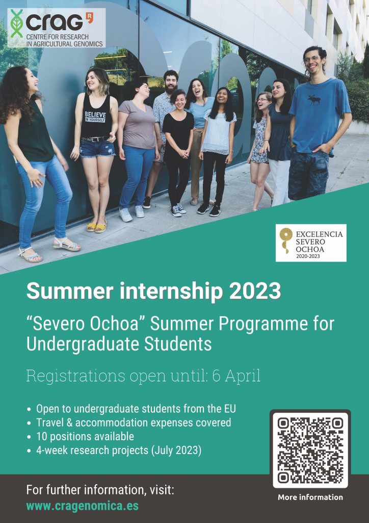 Summer Internship 2024 In Iits Image to u