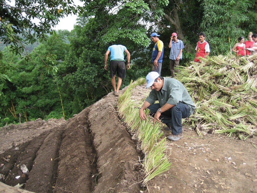 El Salvador. Barreras vivas contra la erosión