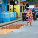 El patrimonio industrial en Venezuela. Cacao en Tunapuy