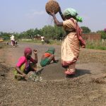 Mujeres seleccionando semillas para la próxima cosecha