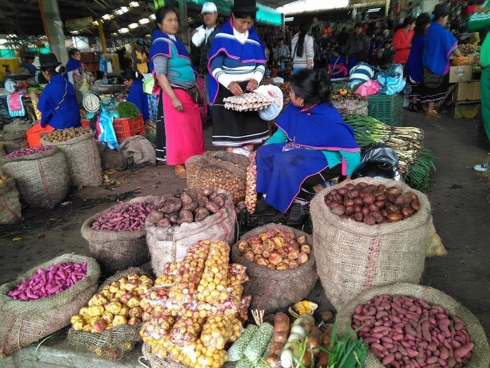 Vida en el mercado de Silvia