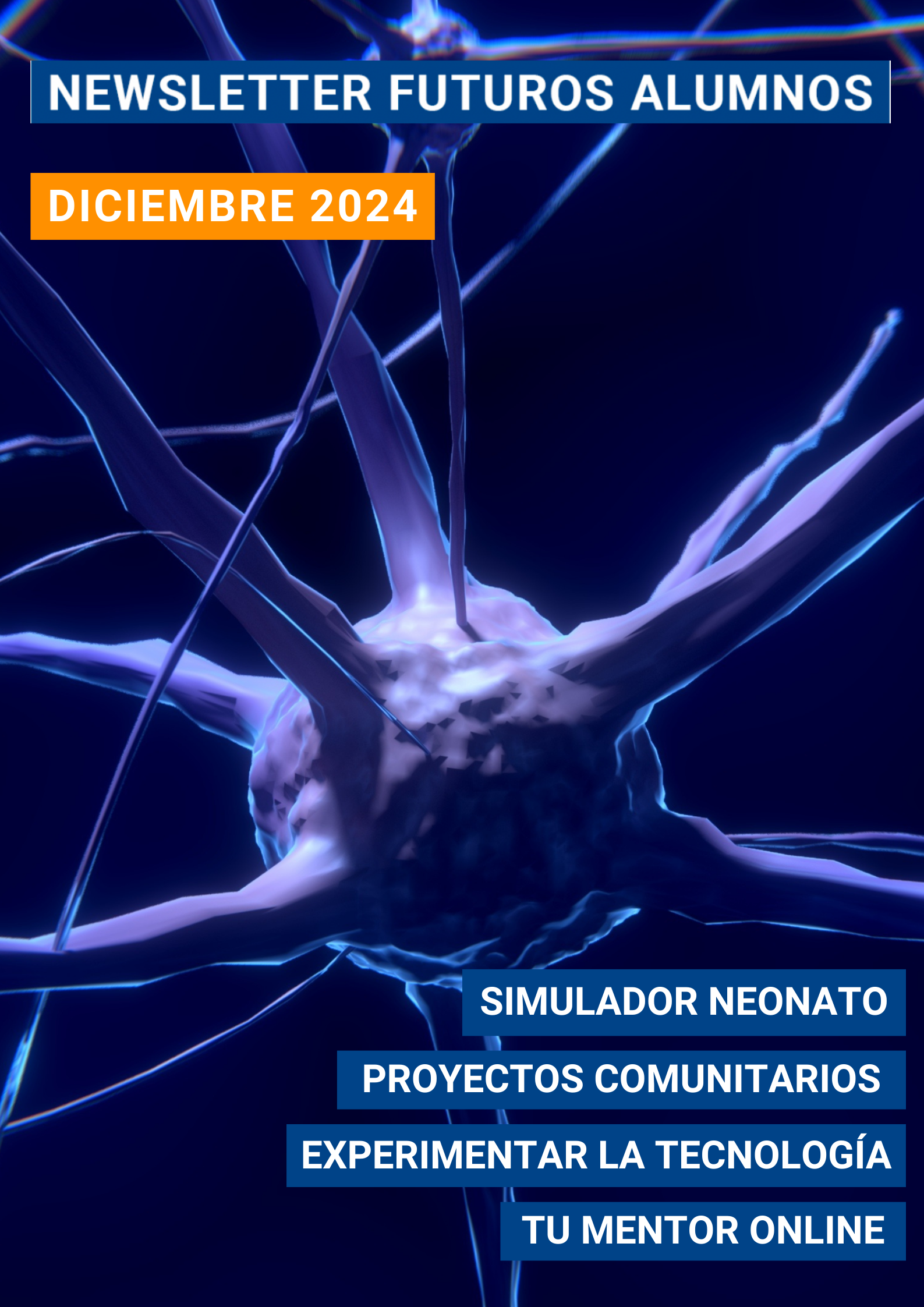 Newsletter – Diciembre 2024