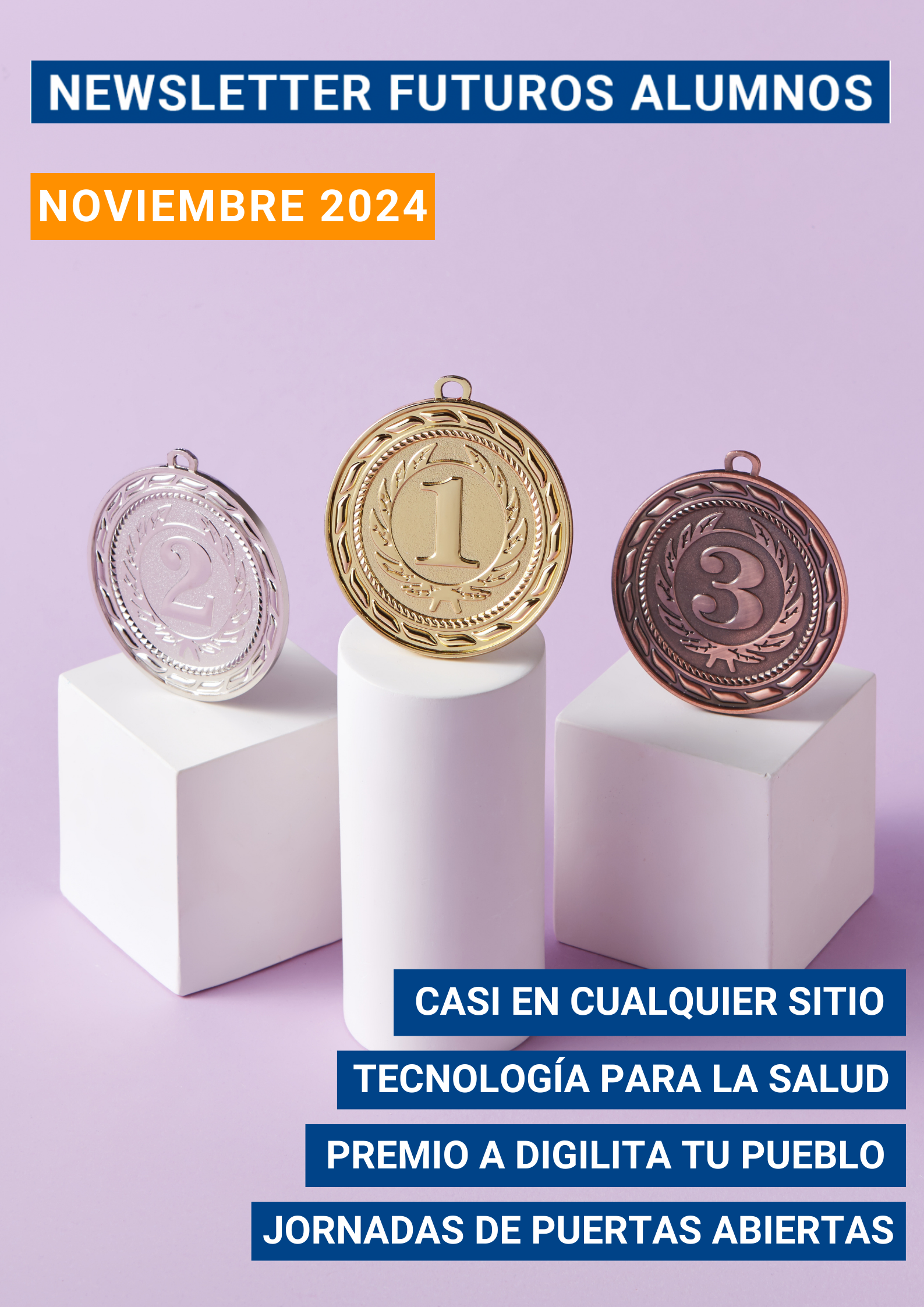 Newsletter – Noviembre 2024