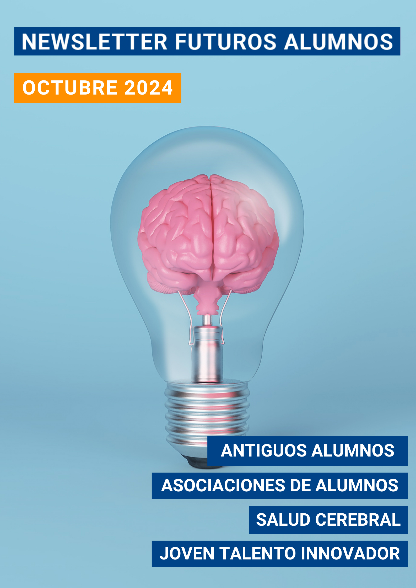 Newsletter – Octubre 2024