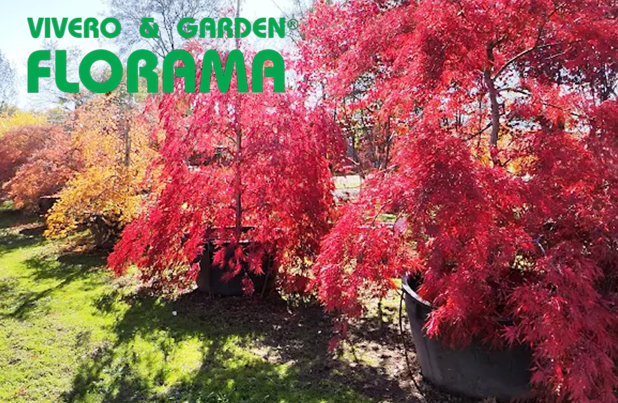 viveros florama