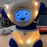 Social Robotics