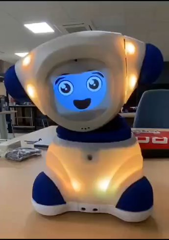 Social Robotics