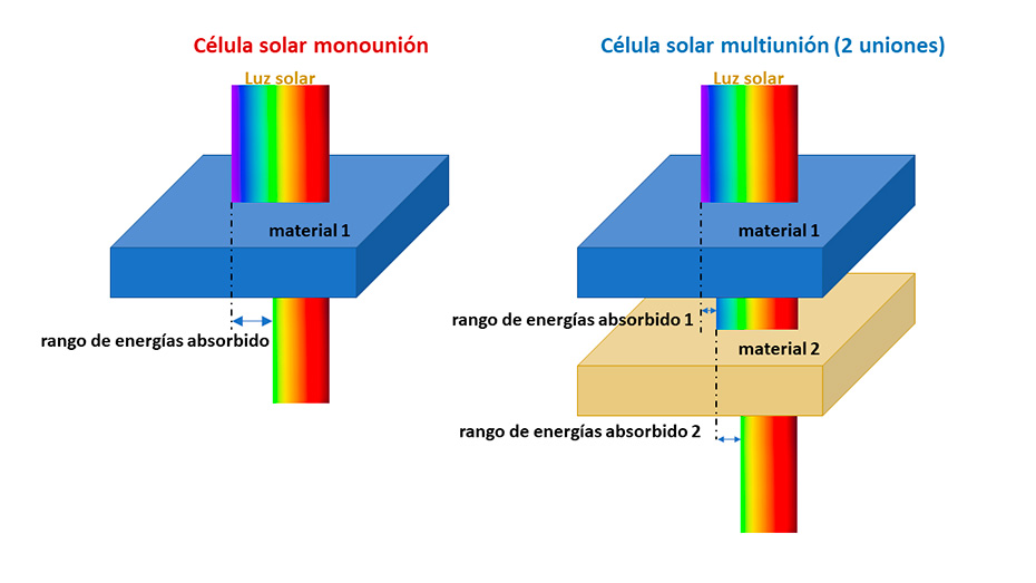 la celula multiunion