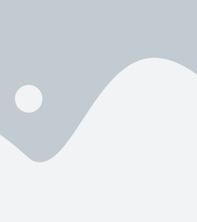 elementor-placeholder-image4