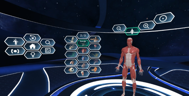 captura de human anatomy vr donde se muestran los músculos del cuerpo humano y la interfaz de usuario de la aplicación.