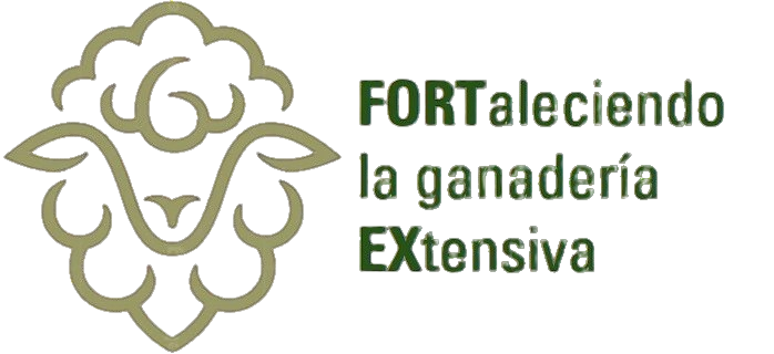 Proyecto FORTEX