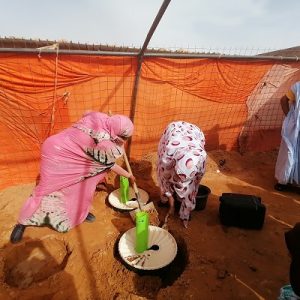 Mujeres saharauis en huertos ecológicos