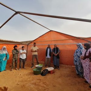 Capacitación huertos ecológicos