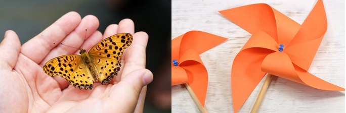 Molinillo y mariposa