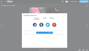 Ventana emergente desde donde podemos copiar la URL de la imagen. Aparecen también los enlaces para compartir la imagen en diferentes redes sociales.